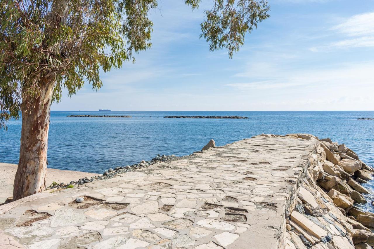 Carmencita Studio B14 With Pool & Gym Limassol Exterior foto